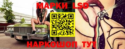 гидропоника Кингисепп
