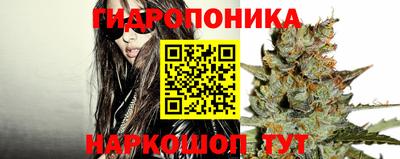 гидропоника Кингисепп