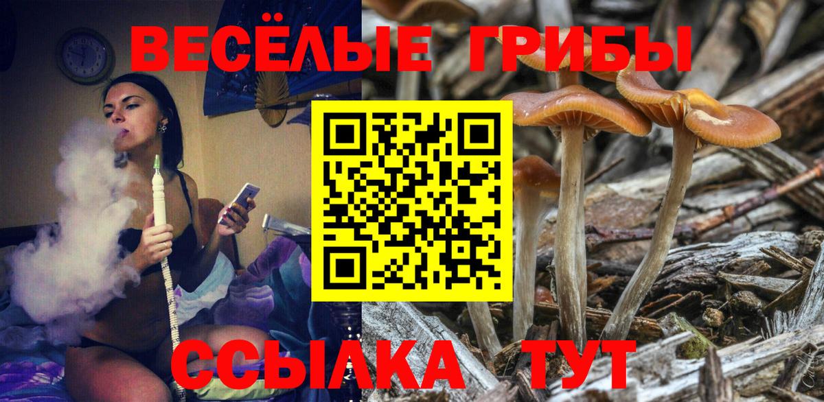 Псилоцибиновые грибы Psilocybe  как найти закладки  Бирск  Вход с VPN 