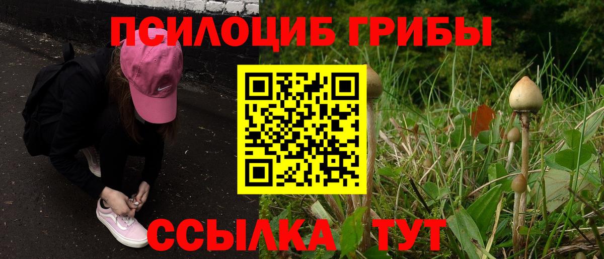 Псилоцибиновые грибы прущие грибы Бирск